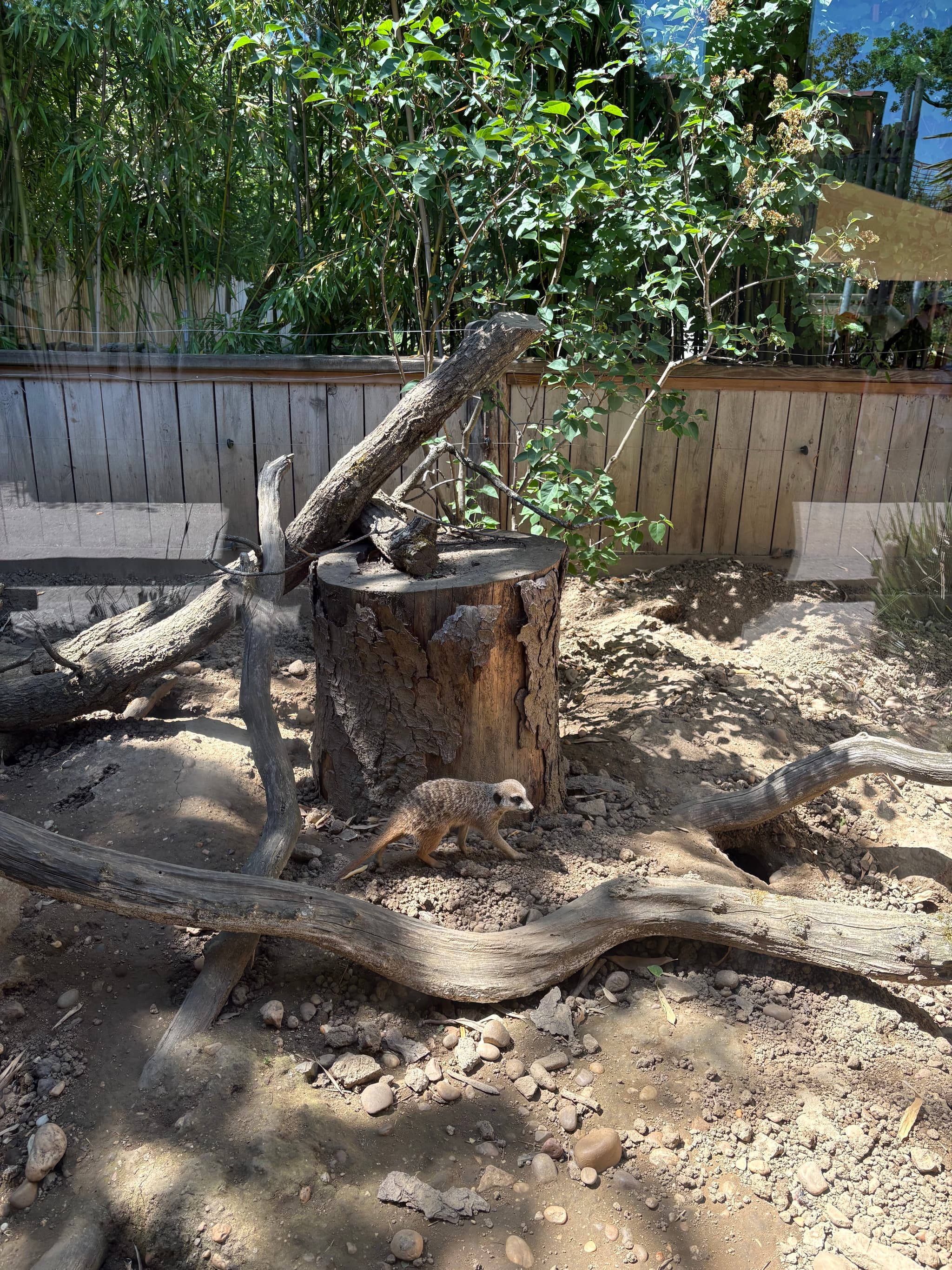 Journée au Zoo d'Amnéville